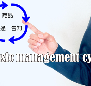Basic management cycle